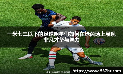 一米七三以下的足球明星们如何在绿茵场上展现非凡才华与魅力